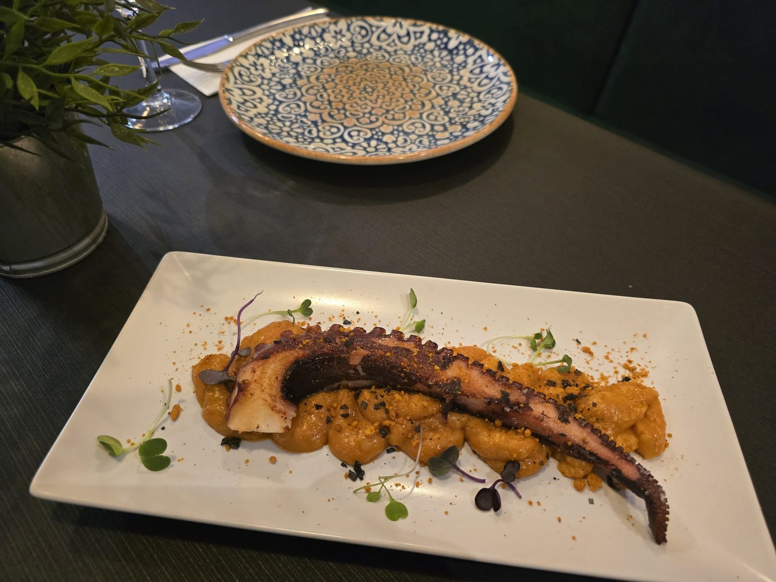 Pata de Pulpo